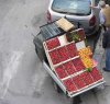 https://www.tp24.it/immagini_articoli/27-09-2017/1506542739-0-aggredita-rapinata-colpi-dimelone-fruttivendolo.jpg