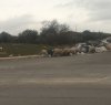 https://www.tp24.it/immagini_articoli/27-12-2017/1514389572-0-castelvetrano-gregge-pecore-rifiuti.jpg