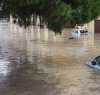 https://www.tp24.it/immagini_articoli/27-12-2019/1577435139-0-sicilia-regione-chiede-stato-calamita-alluvioni-novembre.png