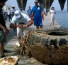 https://www.tp24.it/immagini_articoli/28-05-2016/1464428818-0-marevivo-torna-a-pantelleria-per-recuperare-pneumatici-abbandonati.jpg
