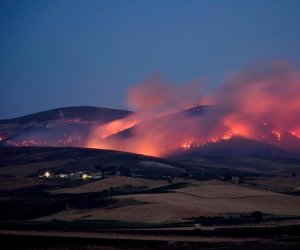https://www.tp24.it/immagini_articoli/28-10-2020/1603900430-0-incendio-a-montagna-grande-il-comune-di-trapani-fa-denuncia-e-vieta-il-pascolo.jpg