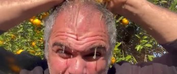 https://www.tp24.it/immagini_articoli/29-01-2024/1706515851-0-la-protesta-dell-agricoltore-siciliano-fa-lo-shampoo-con-le-arance.jpg