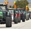 https://www.tp24.it/immagini_articoli/29-01-2024/1706550910-0-le-proteste-degli-agricoltori-siciliani-tra-siccita-caro-prezzi-e-politica-sorda-cosi-moriamo.jpg