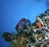 https://www.tp24.it/immagini_articoli/29-02-2024/1709245768-0-a-pantelleria-il-concorso-fotografico-nbsp-obiettivo-terra-iscrizioni-entro-il-3-marzo.jpg