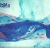 https://www.tp24.it/immagini_articoli/29-05-2017/1496076256-0-ragazzi-marsala-lontani-blue-whale-gioco-social-porta-suicidio.jpg