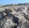 https://www.tp24.it/immagini_articoli/29-07-2013/1378805562-1-antonella-milazzo-paghi-chi-ha-rimosso-i-resti-del-porto-antico-di-marsala.jpg
