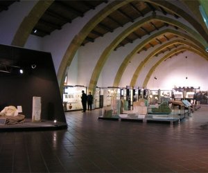 https://www.tp24.it/immagini_articoli/29-08-2015/1440858456-0-meo-pd-un-biglietto-unico-per-visitare-i-musei-di-marsala.jpg