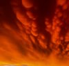 https://www.tp24.it/immagini_articoli/29-08-2022/1661755431-0-l-impressionante-cielo-prima-e-dopo-la-tempesta-a-marsala-e-dintorni-e-spuntano-le-nuvole-mammatus.jpg