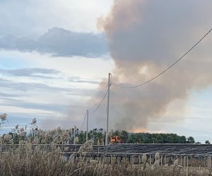 https://www.tp24.it/immagini_articoli/29-11-2022/1669734064-0-marsala-vasto-incendio-in-contrada-spagnola.jpg