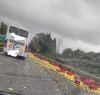 https://www.tp24.it/immagini_articoli/30-03-2022/1648660116-0-sicilia-nbsp-camion-perde-il-carico-l-autostrada-e-invasa-dai-limoni.jpg