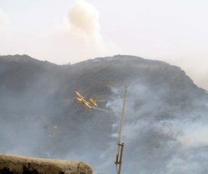 https://www.tp24.it/immagini_articoli/30-05-2016/1464600541-0-pantelleria-la-rabbia-e-l-incendio-piromani-no-criminalita-organizzata.jpg