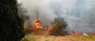 https://www.tp24.it/immagini_articoli/30-05-2023/1685434297-0-mazara-in-vigore-l-ordinanza-per-la-prevenzione-degli-incendi.jpg