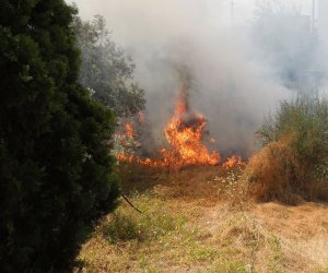 https://www.tp24.it/immagini_articoli/30-05-2023/1685434297-0-mazara-in-vigore-l-ordinanza-per-la-prevenzione-degli-incendi.jpg