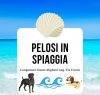 https://www.tp24.it/immagini_articoli/30-08-2022/1661872030-0-a-trapani-torna-pelosi-in-spiaggia-nbsp.jpg
