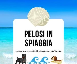 https://www.tp24.it/immagini_articoli/30-08-2022/1661872030-0-a-trapani-torna-pelosi-in-spiaggia-nbsp.jpg