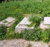https://www.tp24.it/immagini_articoli/30-09-2023/1696090215-0-il-cimitero-di-erice-in-stato-di-degrado-e-abbandono.jpg