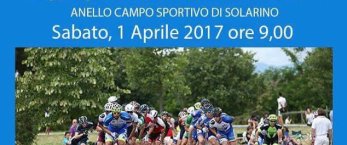 https://www.tp24.it/immagini_articoli/31-03-2017/1490943143-0-pattinatori-trapanesi-al-campionato-regionale-corsa-su-strada.jpg