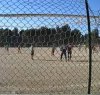 https://www.tp24.it/immagini_articoli/31-03-2023/1680273336-0-sicilia-arbitro-di-15-anni-preso-a-pugni-da-un-calciatore-a-fine-partita.png