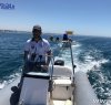 https://www.tp24.it/immagini_articoli/31-07-2017/1501506244-0-guardia-costiera-soccorre-barche-multe-naviga-troppo-vicino-costa.jpg