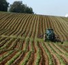 https://www.tp24.it/immagini_articoli/31-08-2022/1661899640-0-nbsp-agricoltura-nbsp-nbsp-50-milioni-per-gli-imprenditori-siciliani-colpiti-dalla-crisi-per-la-guerra-in-ucraina.jpg