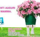 https://www.tp24.it/immagini_eventi/1399559999-1-lazalea-della-ricerca-di-airc-per-festeggiare-la-mamma.jpg