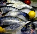 https://www.tp24.it/immagini_eventi/1436542955-1-a-castellammare-il-fish-fest-la-festa-del-pesce-azzurro.jpg